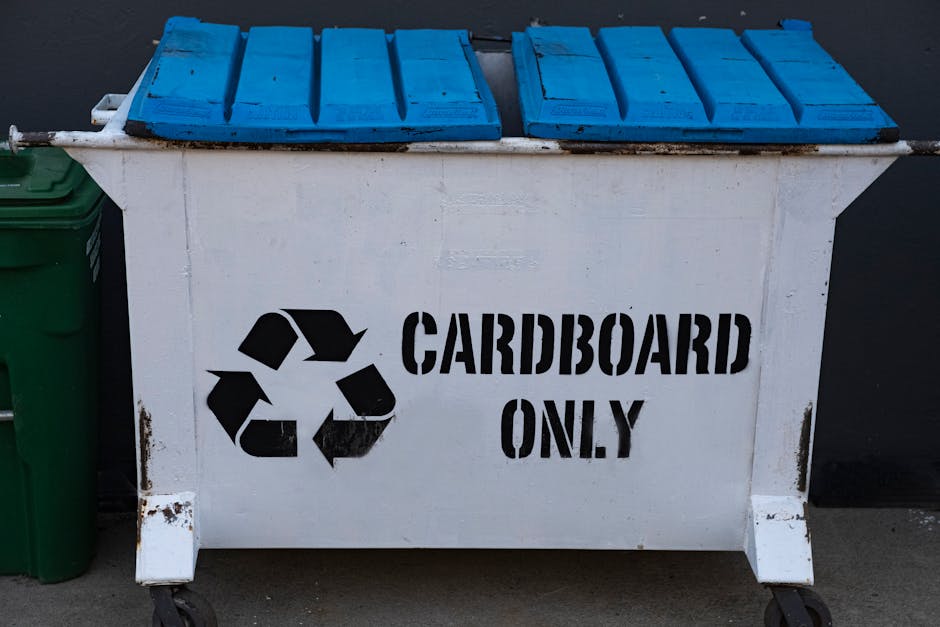 A clear plastic recycling bin prominently displayed in the foreground with a green recycling symbol and a label indicating it is for plastics, containing black plastic bottles. Behind this bin, anothe